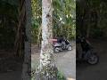 BAWA KABUR MOTORNYA SI RIKJUL #viral #shorts