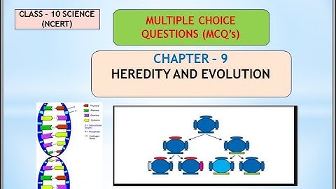 Heredity & Evolution, Chapter-9 | Important MCQ