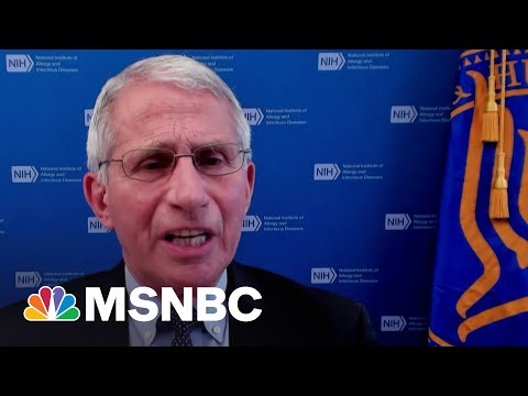 Fauci Responds To Attacks From Republicans