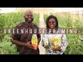 Exploring urban hydroponic greenhouse farming with farmernii