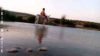 اغنية الفنان احمد علي 🌿😥Strana hunermend Ehmed Elî