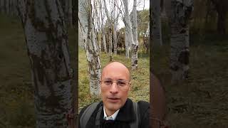 Arroyo Pozuelo, Pozuelo de Alarcón, Madrid. Luis Camparo Profesional Inmobiliario.