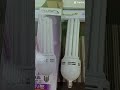 World Largest fluorescent bulb