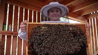 Včelí kRaj The Land of Bees Cena za krajinu 2020