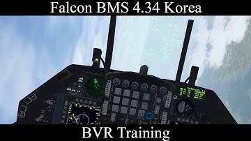 Falcon BMS 4.34 - 669VFS - BVR Training w/advice