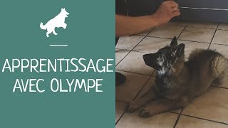 Premiers Apprentissages Pour Olympe