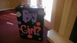 Gender Reveal Were Having A....