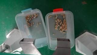 single chute color sorter soting peanuts with shell, peanuts color sorter
