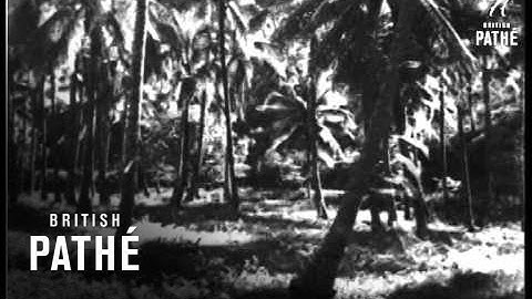 In The Isles Of Delight (1932)