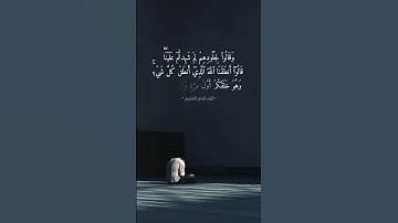 سورة فصلت الآية ٢١ - الشيخ ياسر الدوسري #اكسبلور #المصحف #قرآن #القرآن_الكريم