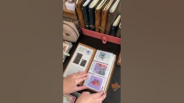 Flipthrough of Standard TN ❤️ #travelersnotebook #TN #journal #planner