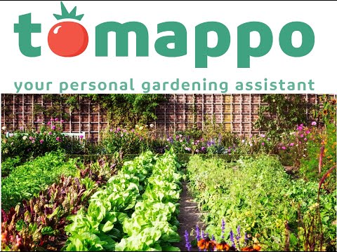 Tomappo easy gardening
