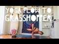 Grasshopper Yoga Flow