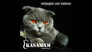 Kasamam - Her Şeyde Sen Vardın  Resimi