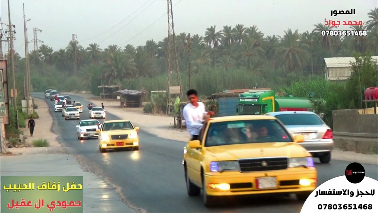 ضيم مو زفة كارثه كلهه ملكات وربع العريس لعبو فلك زفة حمودي ال عقيل
