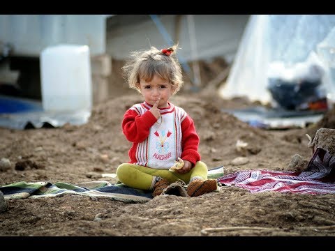 Refugee - Dani Wilde
