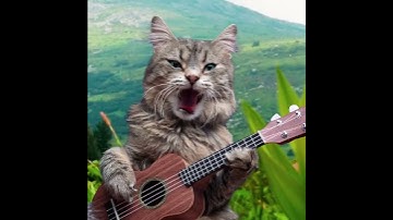 Thumbnail of 🐱🎶 Cat Enjoys Ukuleles but Can't Sing! 😂🎸 #silly #humor #cats #ukulele #animation #fun
