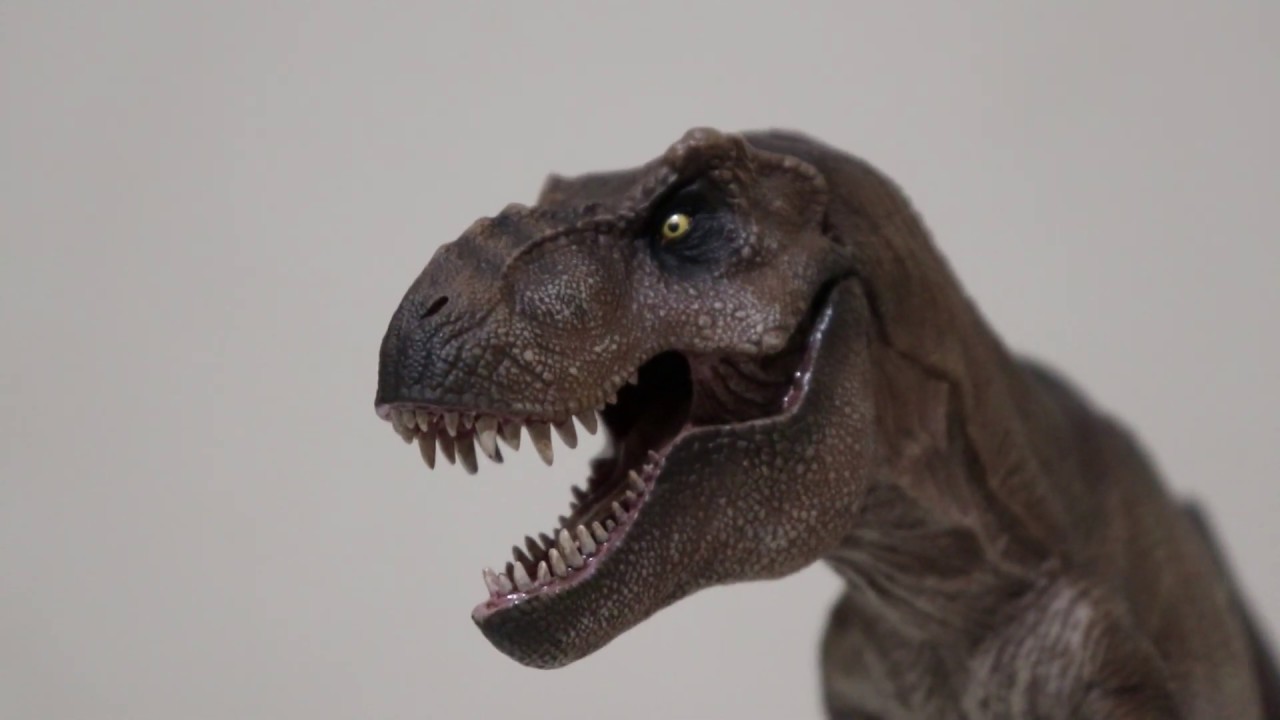 W Dragon Tyrannosaurus Rex Review Youtube