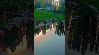 #намаз #ислам #коран #молитва #религия #сунна #дуба #аллоху