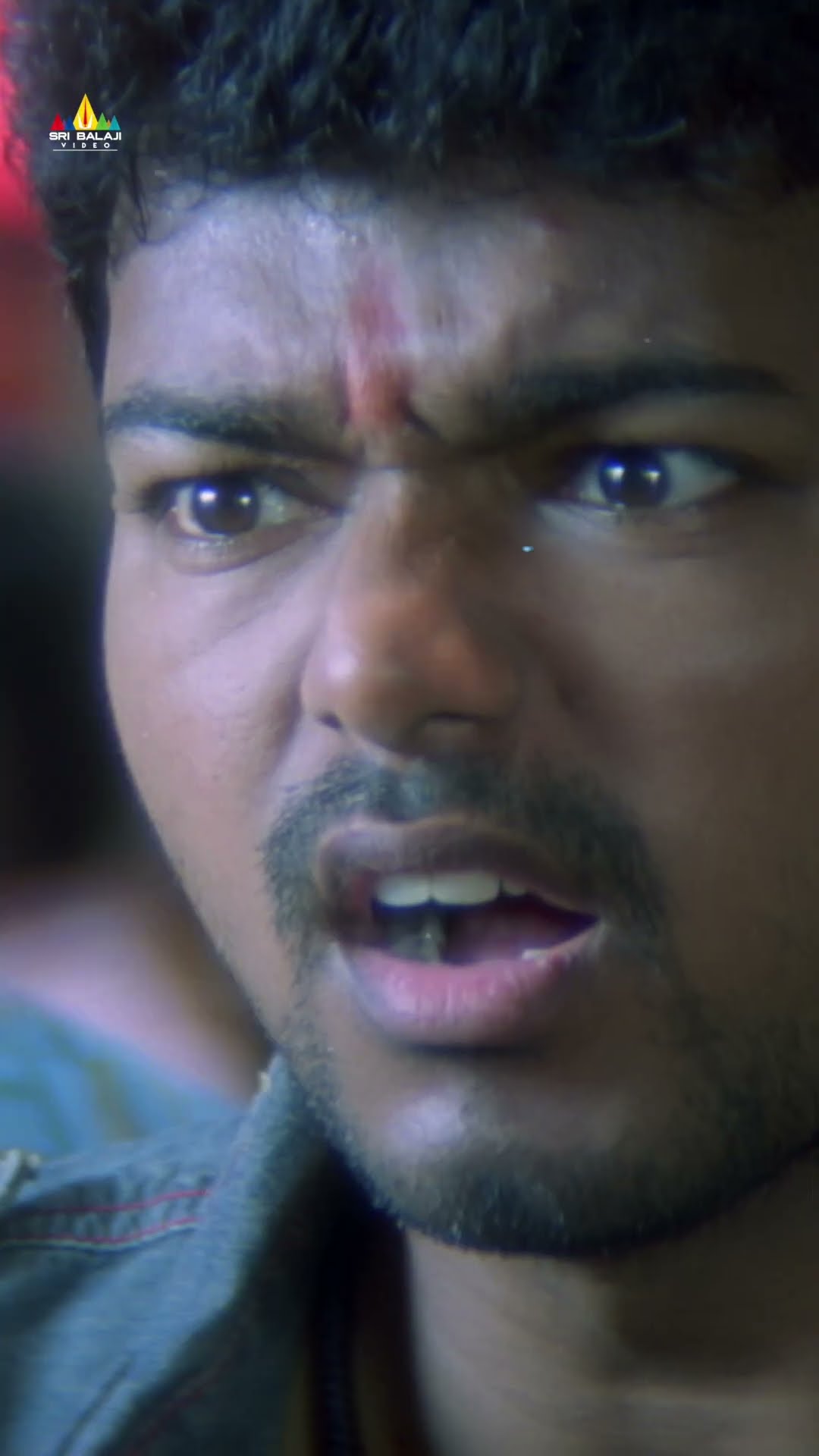 Asin Takes Fun of Vijay Thalapathy | #massraja | #ytshorts | #youtubeshorts | #sribalajivideo