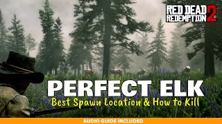 Perfect Elk Hunting - Idiots Guide to RDR2