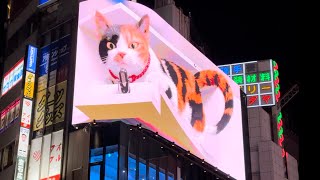 Giant 3D cat show Shinjuku #tokyo