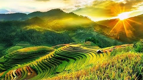 Ruộng Bậc thang Mù Cang chải - Mùa vàng trên non cao