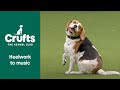 Freestyle International Heelwork to Music Competition - Part 2 | Crufts 2022