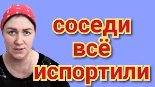 Деревенский дневник очень многодетной мамы - подлые соседи всё испортили