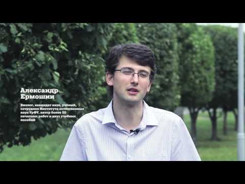 Залог хороших оценок ребенка в школе