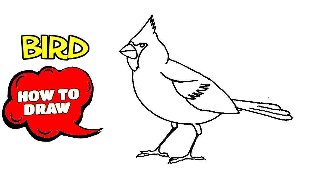 How to bird. How to draw a Bird easily.