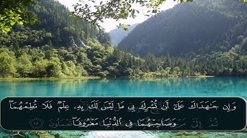 الشيخ عبده عبد الراضي - سورة لقمان (  يَا بُنَيَّ إِنَّهَا إِنْ تَكُ مِثْقَالَ حَبَّةٍ )