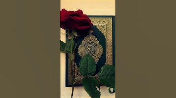 تلاوة هادئة #اكسبلور #الوكره #تيك_توك #الجيلي #ترند #دويتو #لايك #beautiful #نفيسه #النظافه
