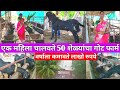 एक महिला चालवते 50 शेळ्यांचा गोट फार्म/वर्षाला कमवते लाखो रुपये/Beetal Goat Farm/बीटल शेळी पालन