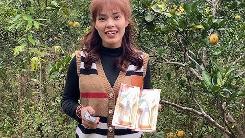 Mẫu kéo cắt cành cầm tay Sk5 tay cầm nhũ bạc. 0582132888