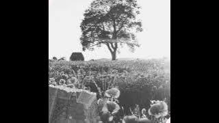 𝐬𝐨𝐫𝐫𝐲. (originally performed by PAMUNGKAS)