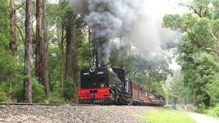 Puffing Billy Railway (19) 28th January 2024.