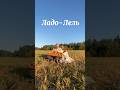 Ладо-Лель #gusli #гусли #slavicfolk #slavicmusic #femalevocal #sunrise #sun #folk #equinox #nature