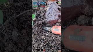 Bel Target con il Rutus Versa nel Bosco #metaldetector #metaldetecting #rutus