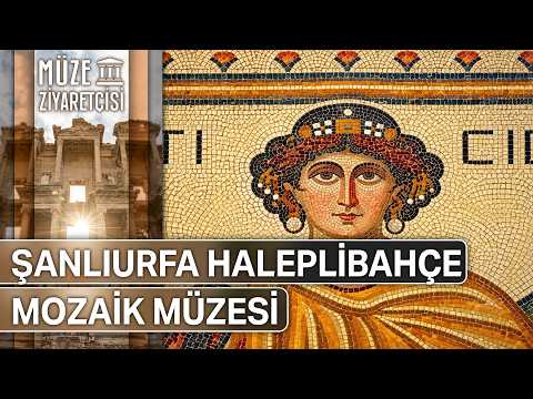 Müze Ziyaretçisi 29. Bölüm | Şanlıurfa Haleplibahçe Mozaik Müzesi | NTV