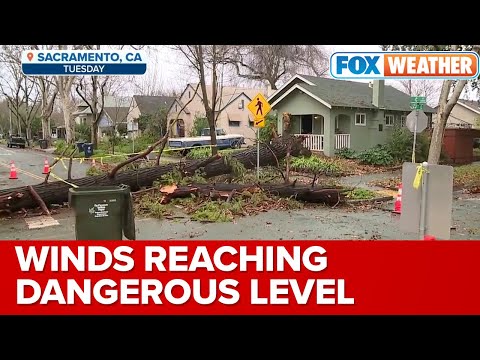 NWS Sacramento on X: Strong, damaging winds will impact the