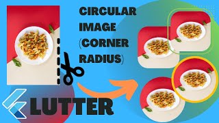 Round Image Widget with Border in flutter. ClipRRect Widget. Corner Radius Image in flutter.