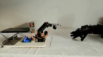 Master-Slave Robotic Arm