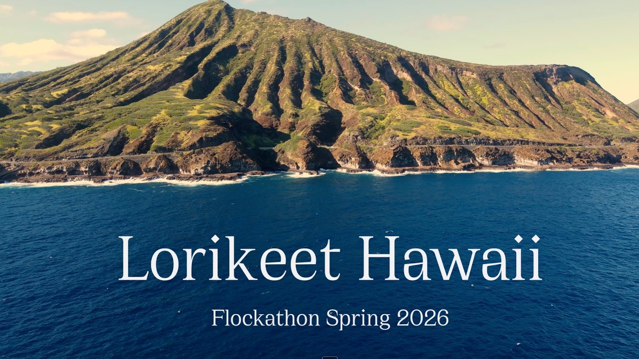 Lorikeet Culture Video