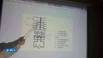 Cấu tạo nguyên lý hoạt động của khởi động từ