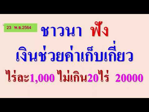 ชาวนา ฟัง ช่วยค่าเก็บเกี่ยวไร่ละ1,000 ไม่เกิน 20 ไร่ 20,000  มี ดรามา แล้ว