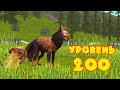 Прокачиваем лису до УРОВНЯ 200 в WildCraft