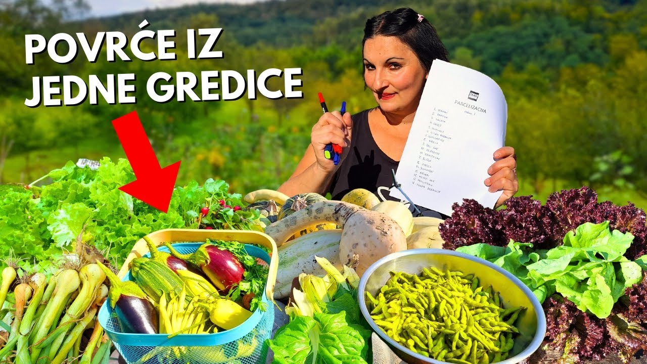 Uzgojila Sam 18 Vrsta Povr a U Jednoj Gredici YouTube uzgojila-sam-18-vrsta-povr-a-u-jednoj-gredici-youtube