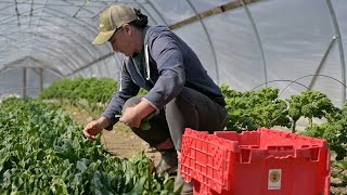 Maine Food Story - Season 2, Episode 4 - Off the Grid
