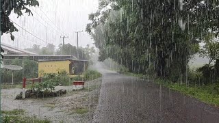 Heavy rain in rural Indonesia green village drenched in rain|rain 3 hours to sleep